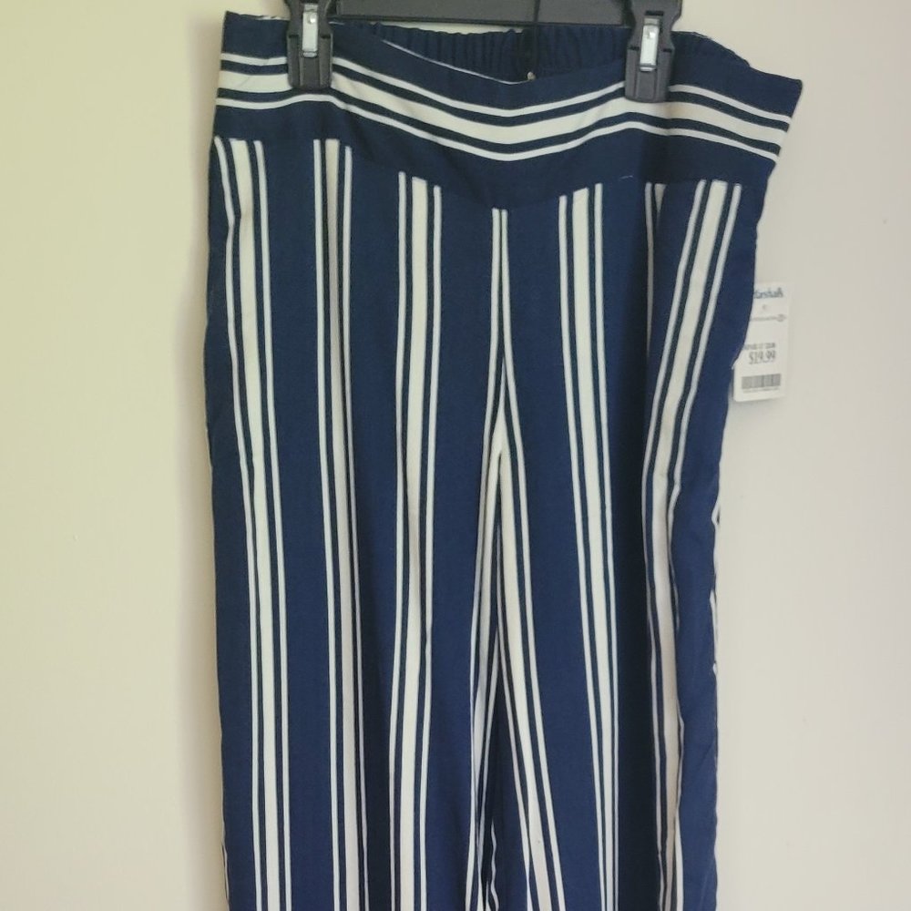 Summer Casual Blue & White, Adrienne Vittadini Striped Pants, Size 6